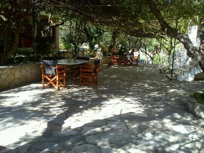 Sofos Apartments Tsilivi  Pokoj fotografie