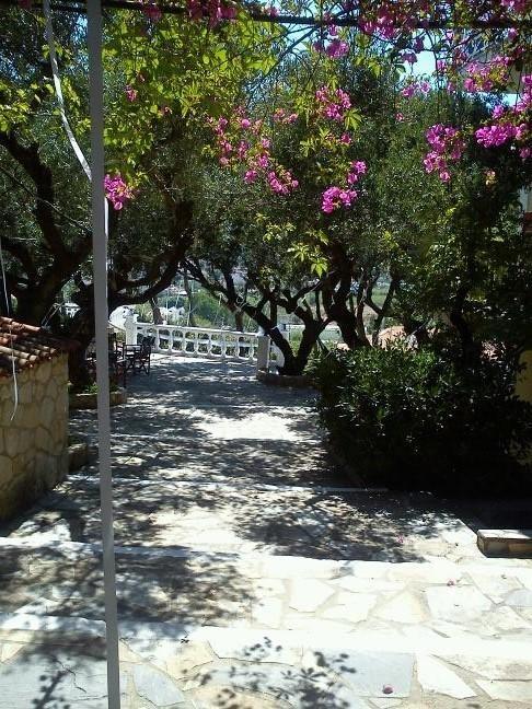 Sofos Apartments Tsilivi  Pokoj fotografie