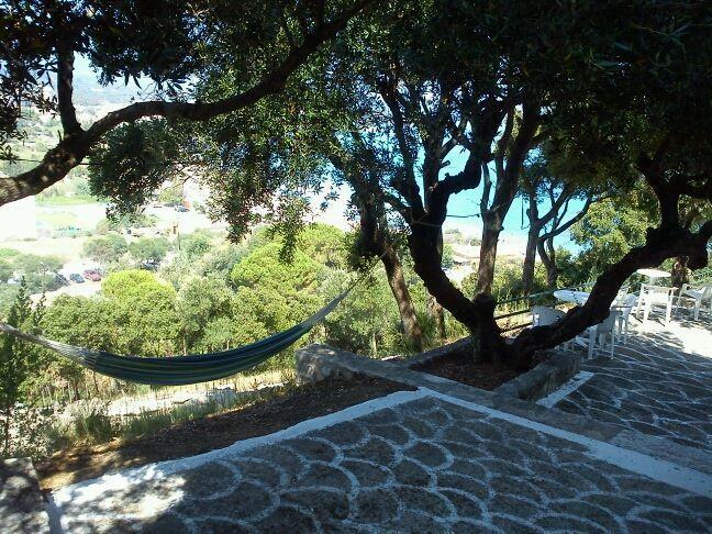 Sofos Apartments Tsilivi  Pokoj fotografie